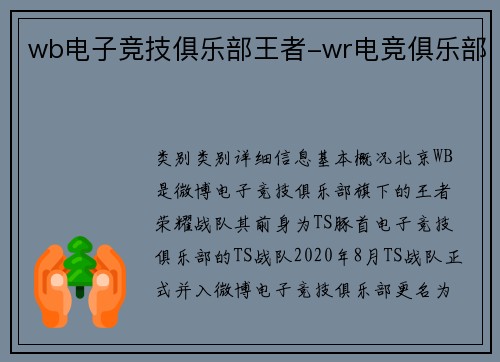 wb电子竞技俱乐部王者-wr电竞俱乐部